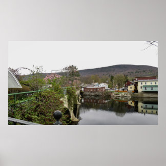 Póster Bridge of Flowers