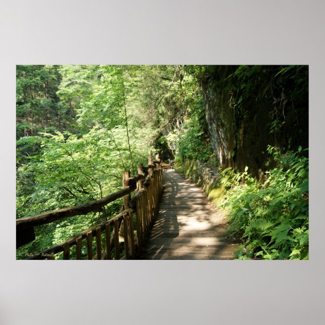 Póster Bridge on Edge 36 x 24 Poster (Frente)