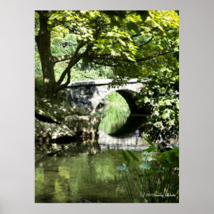 Póster Bridge print