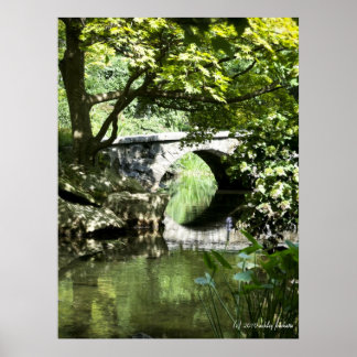Póster Bridge print