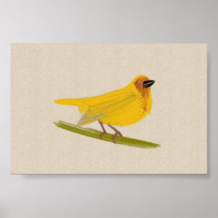 Póster Bright African Bird Weaver