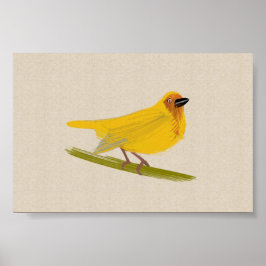 Póster Bright African Bird Weaver