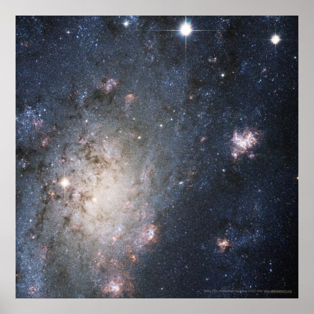 Póster Bright Supernova in NGC 2403 12x12 (13x13) (Frente)