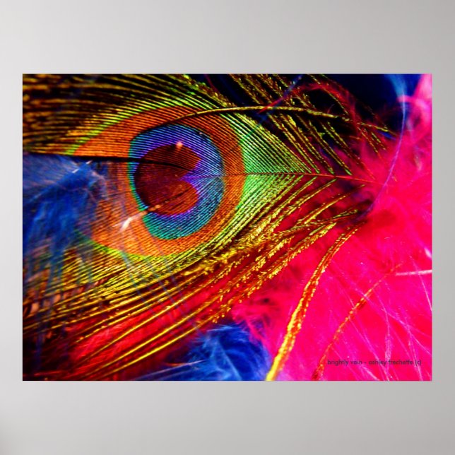 Póster Brightly Vain (Frente)