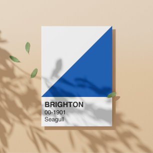 Póster Brighton Seagull Blue and White - Ancho completo