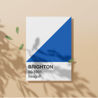 Póster Brighton Seagull Blue and White - Ancho completo