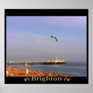 Póster Brighton Views (UK) Poster