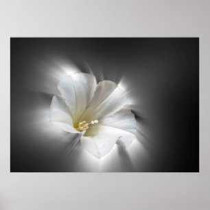 Póster Brillando en la oscuridad