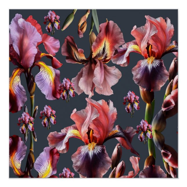 Poster brillante (Anverso)