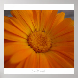 Póster ¡brillante!