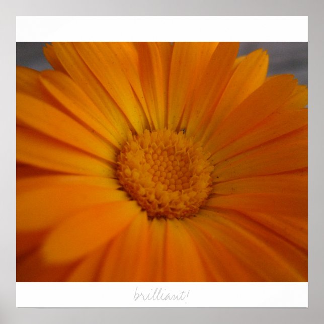 Póster ¡brillante! (Frente)