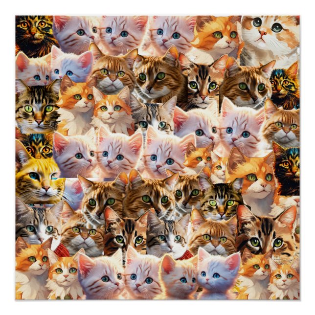 Poster brillante (Anverso)