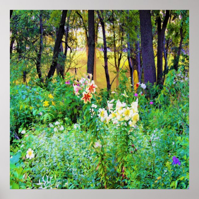 Póster Brillante amanecer con lirios de árbol en My Rubio (Frente)