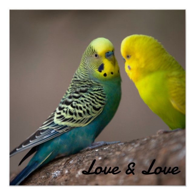 Poster brillante Amor Color negro Mensajes de text (Anverso)