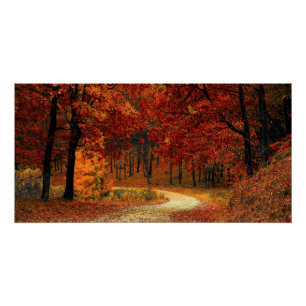 Poster brillante bosque otoñal