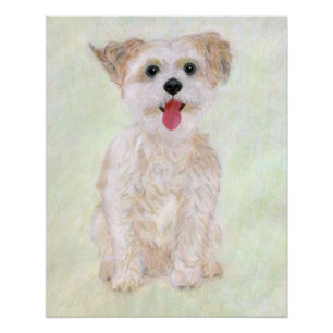 Póster Brillante de Perro Morkie