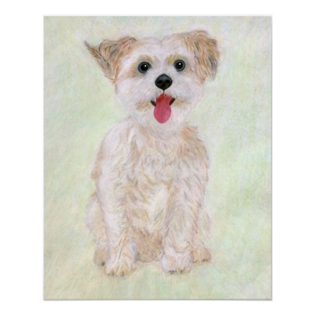 Póster Brillante de Perro Morkie (Anverso)