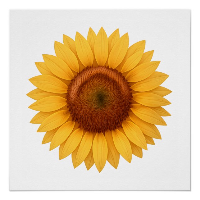 Póster Brillante - Girasol (Anverso)