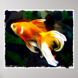 Póster Brillante Koi dorado en estanque de peces oscuros