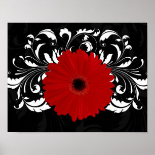 Póster Brillante Red Gerbera Daisy sobre negro