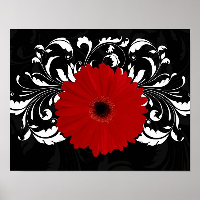 Póster Brillante Red Gerbera Daisy sobre negro (Frente)