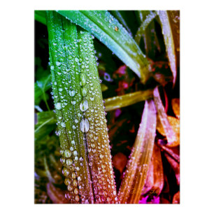 Poster brillante, salpicar las gotas de lluvia en