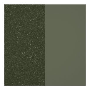 Poster brillante verde de dos tonos moscoteros - P