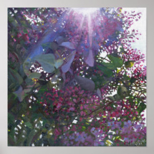 Póster Brillantez 2014