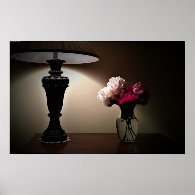 Póster Brillo De Noche, (Frente)