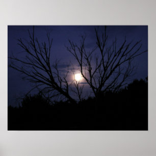 Póster Brillo lunar