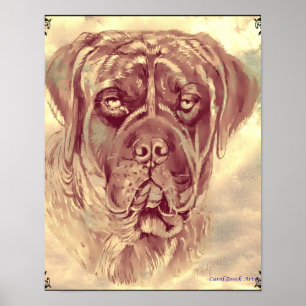 Póster Brindle Mastiff Poster por Carol Zeock