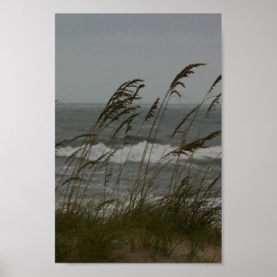 Póster Brisa de mar