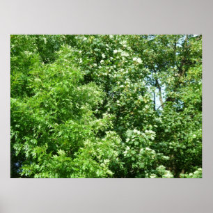 Póster Brisa de verano