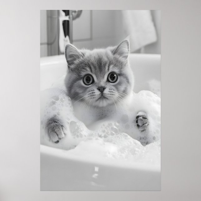 Póster British Shorthair Cat Bath Print, Funny Bathroom (Frente)