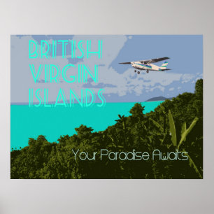 Póster British Virgin Islands Vintage Travel Poster