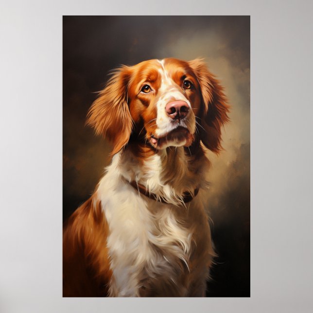 Póster Brittany Spaniel (Frente)