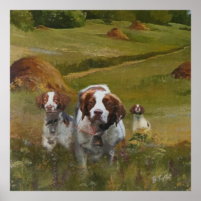 Póster Brittany Spaniel (Frente)
