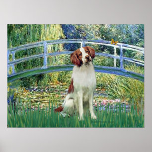 Póster Brittany Spaniel 3 - Puente Lily Pond