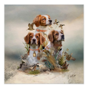 Póster Brittany Spaniel, pasión por las aves