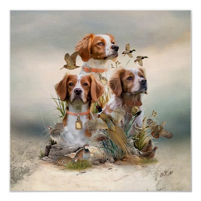 Póster Brittany Spaniel, pasión por las aves (Anverso)