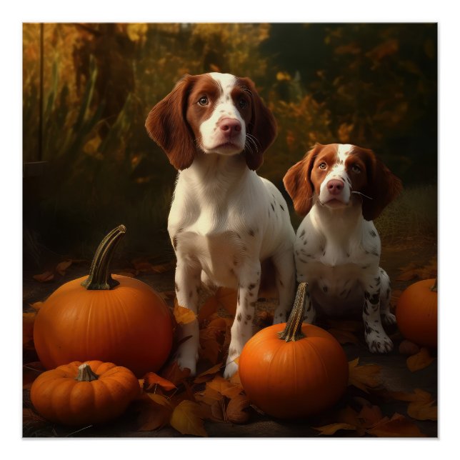 Póster Brittany Spaniel Puppy Calabaza deslumbrante otoño (Anverso)