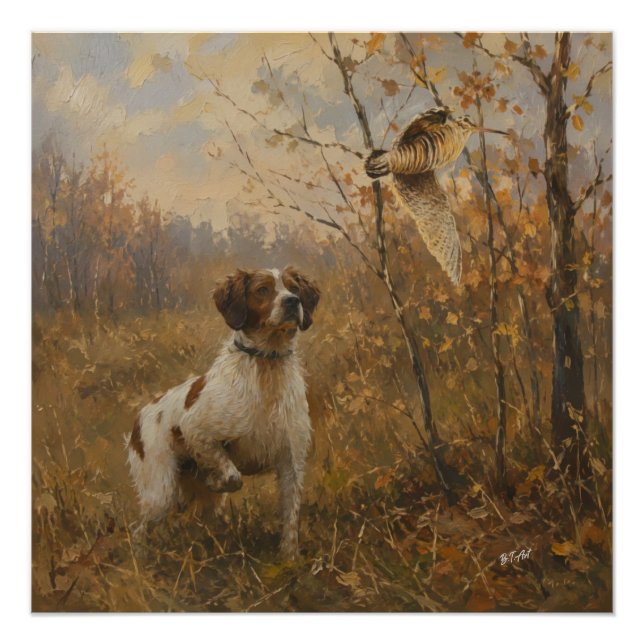 Póster Brittany Spaniel y chocha  (Anverso)