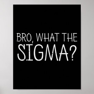 Póster Bro Qué Divertido Sigma Diciendo Memes Hombres Muj