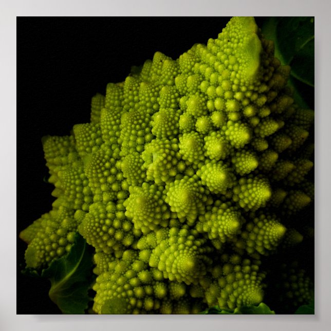 Póster Broccoli (Frente)