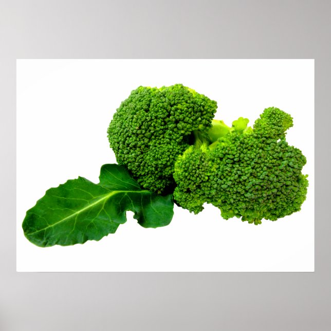 Póster Broccoli 28" x 20", papel Poster de valor (mate) (Frente)