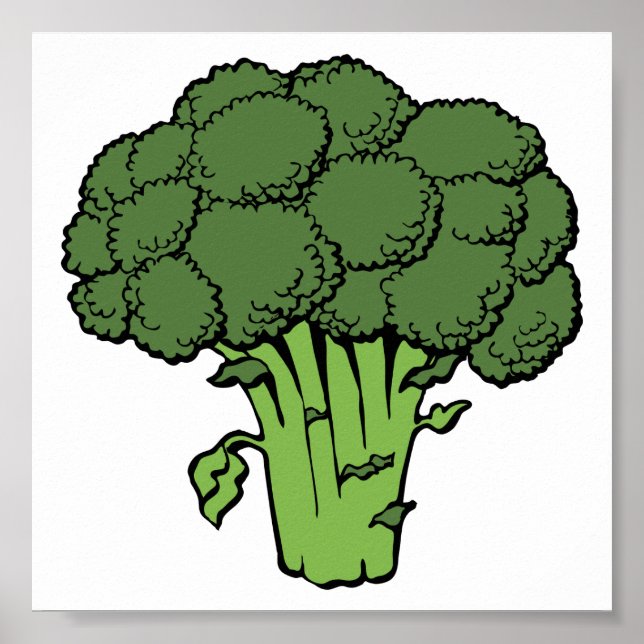 Póster Broccoli verde (Frente)