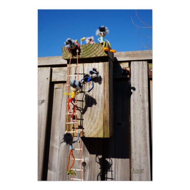 Póster Broedkast vogelhuisje dat beklommen fubby's (Anverso)