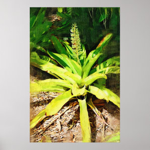 Póster Bromeliad tropical - camina por el jardín