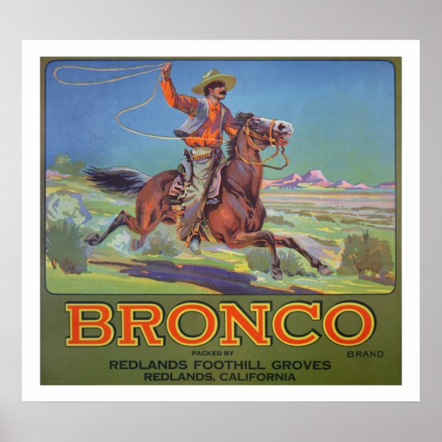 Póster "Bronco Naranjas, c.1900 (color litho) (Frente)