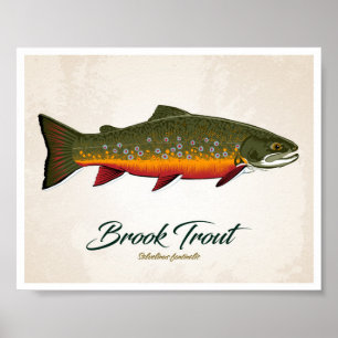 Póster Brook Trout